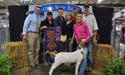 2014 Grand Champion Market Goat