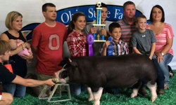 2015 Ohio State Fair Winner