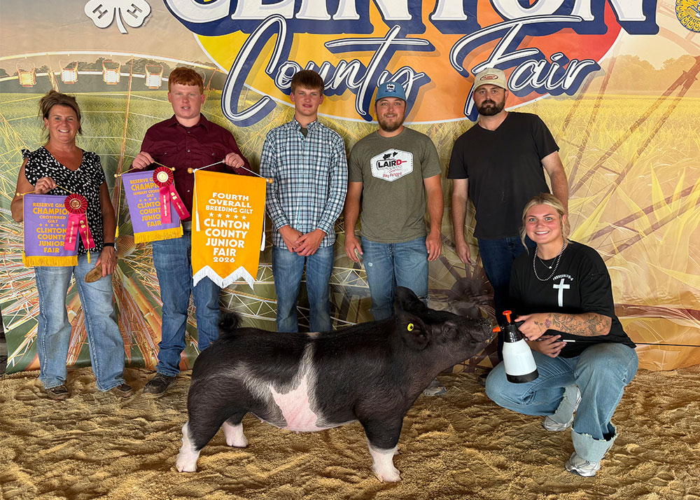 2026 Clinton County Jr. Fair Breeding Gilt Show