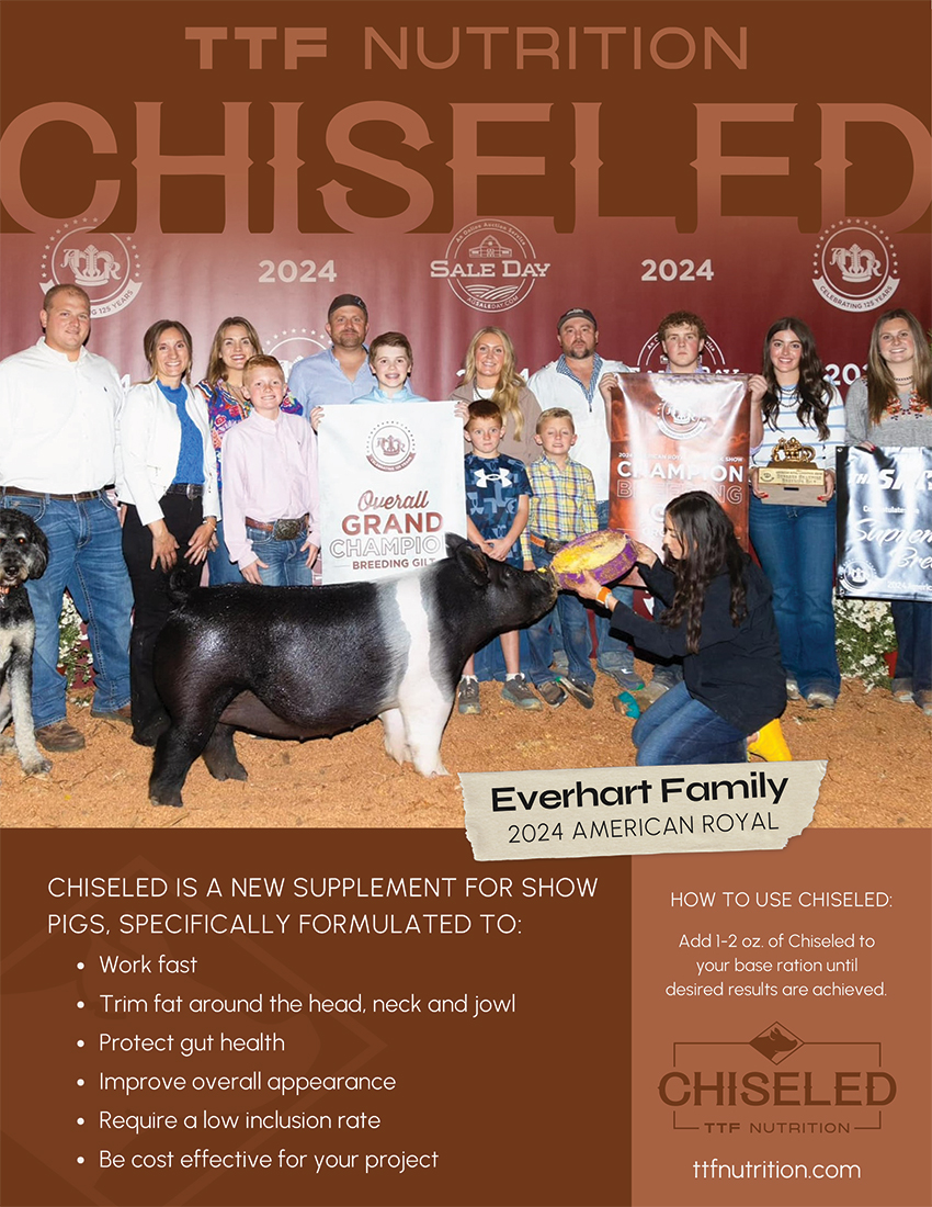 CHISELED